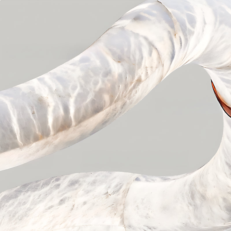 Fluid Curves Alabaster Chandelier - Loonglight