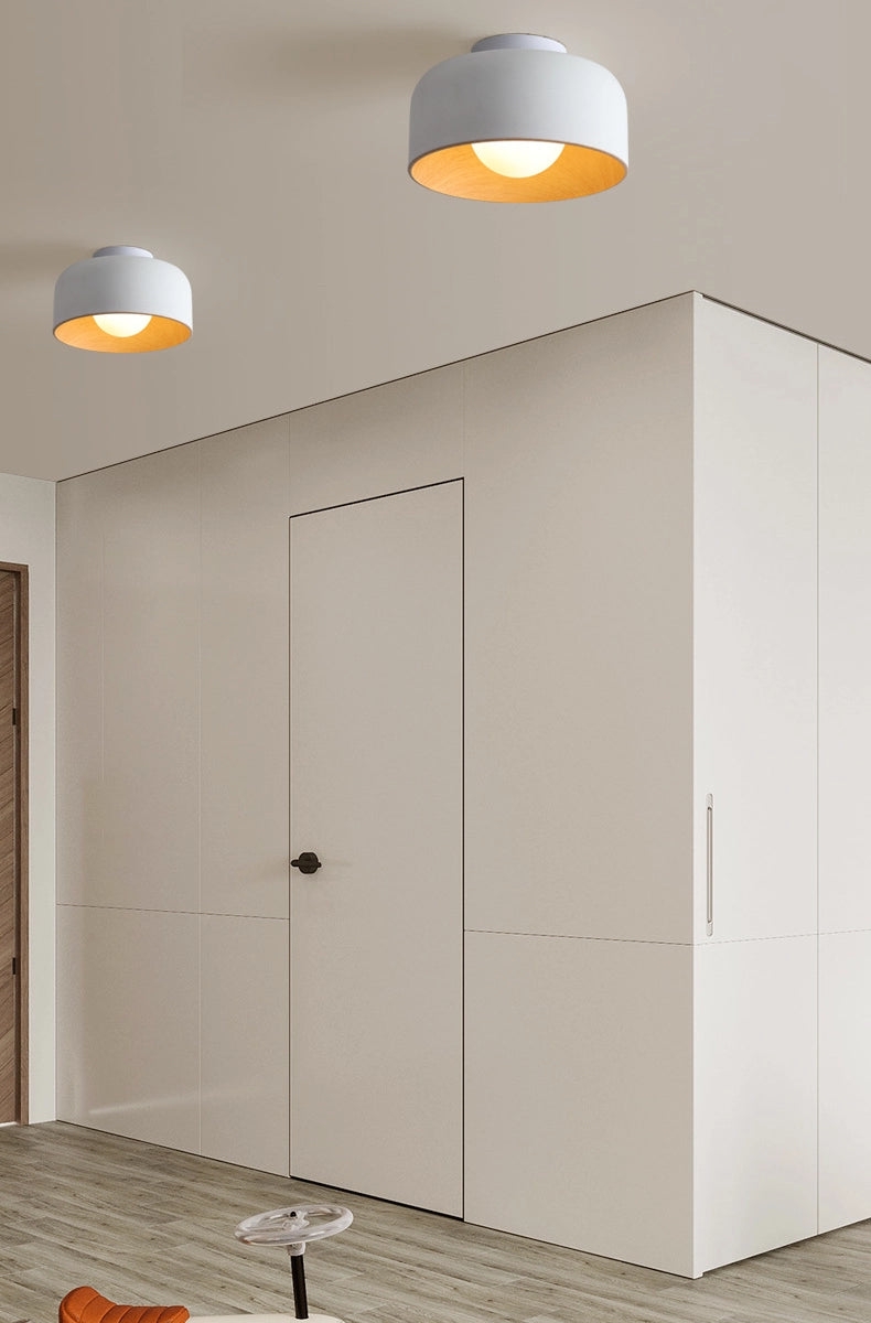 Modern Ceiling Light - Loonglight