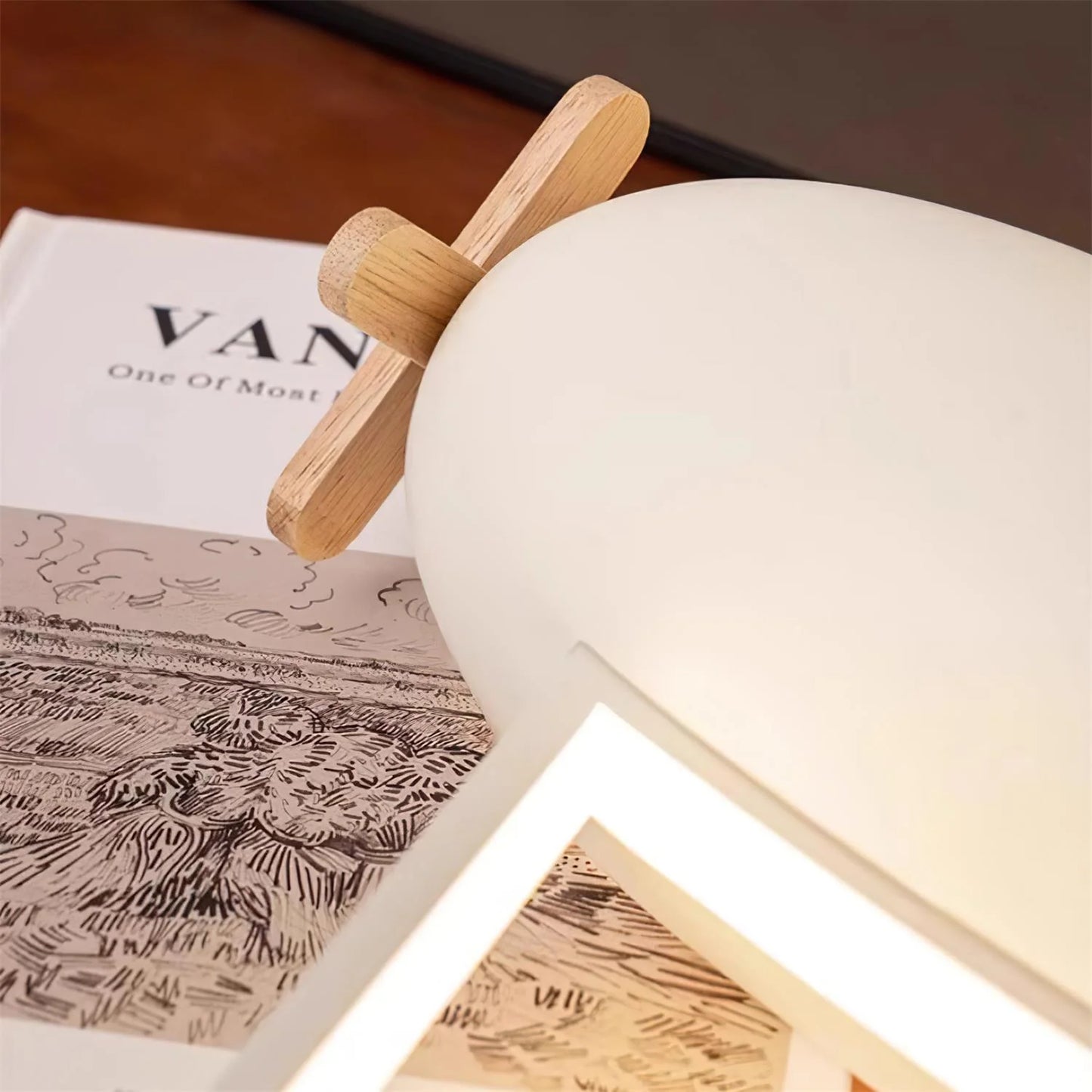 Airplane Ceiling Lamp - Loonglight