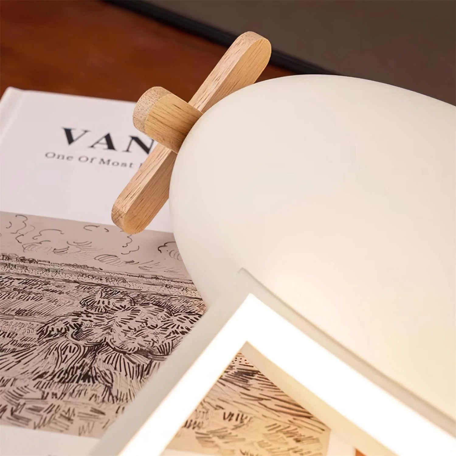 Airplane Ceiling Lamp - Loonglight