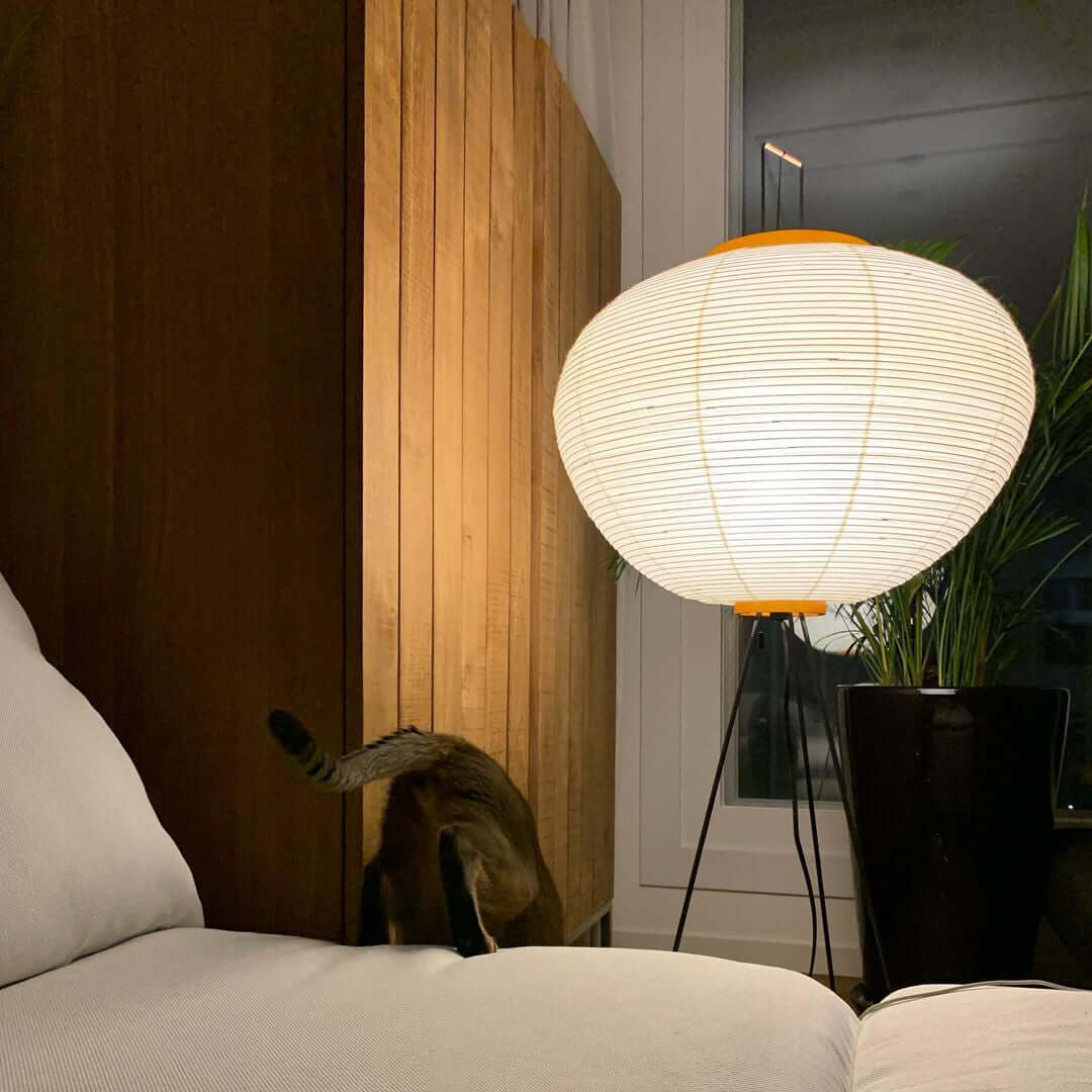 Japanese Floor Lamp 10A