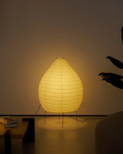 Akari 23N Floor Lamp - Loonglight