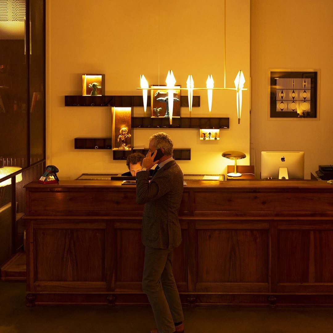 Bird Perch Light Pendant - Loonglight