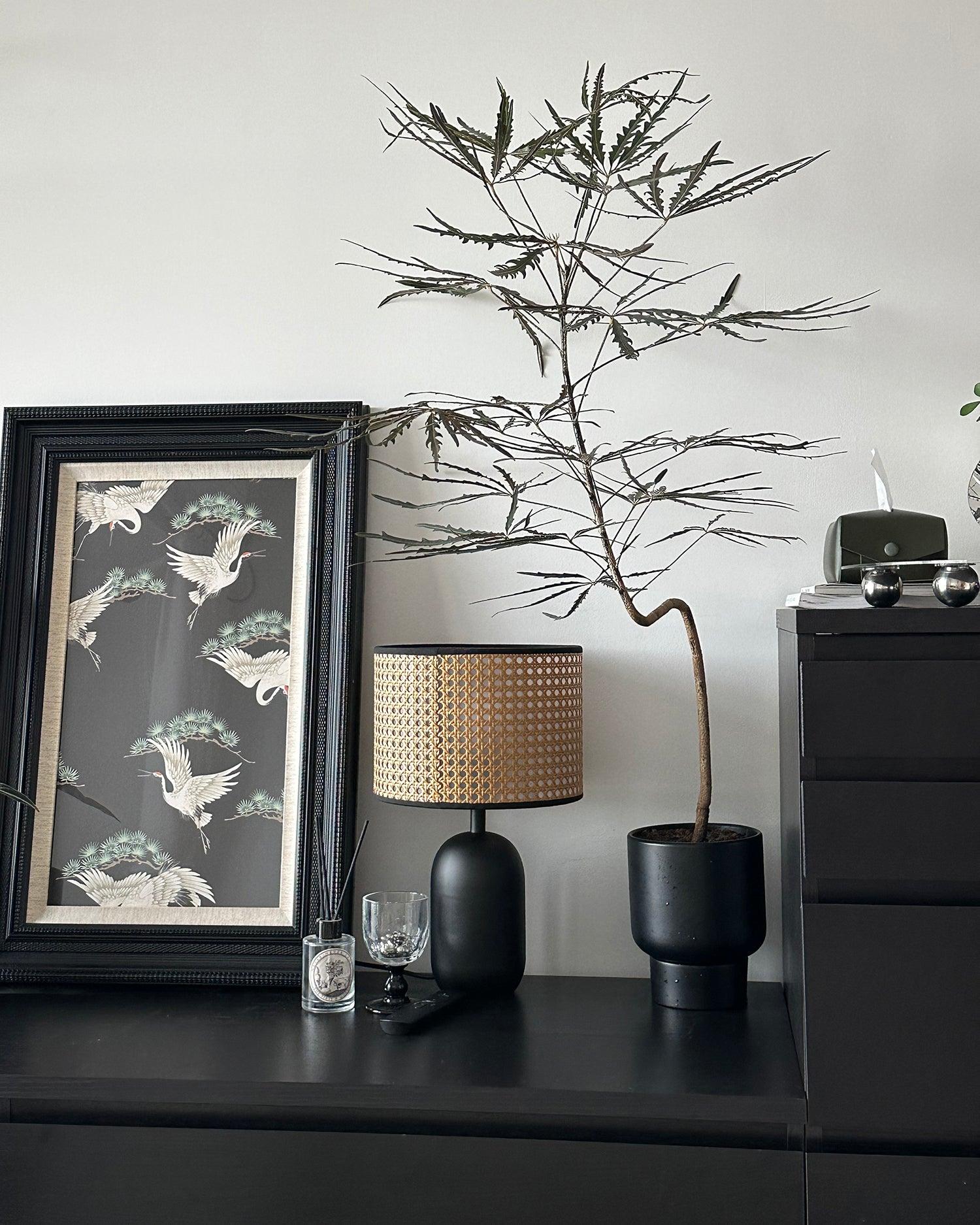 Blakely Table Lamp - Loonglight