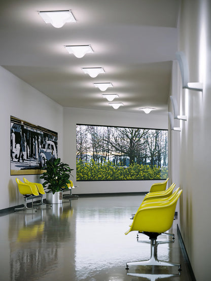 Bolla Ceiling Light - Loonglight