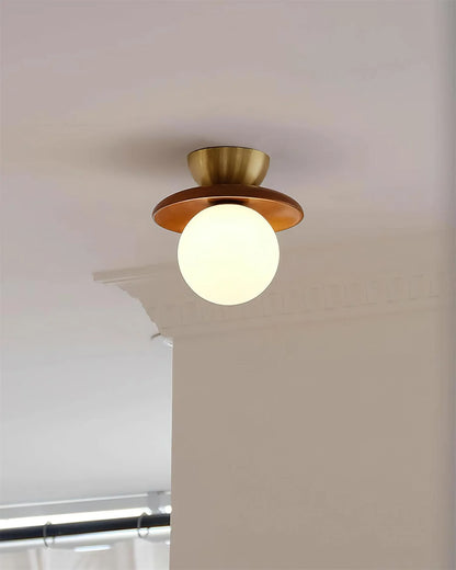 Brody Globe Ceiling Light - Loonglight
