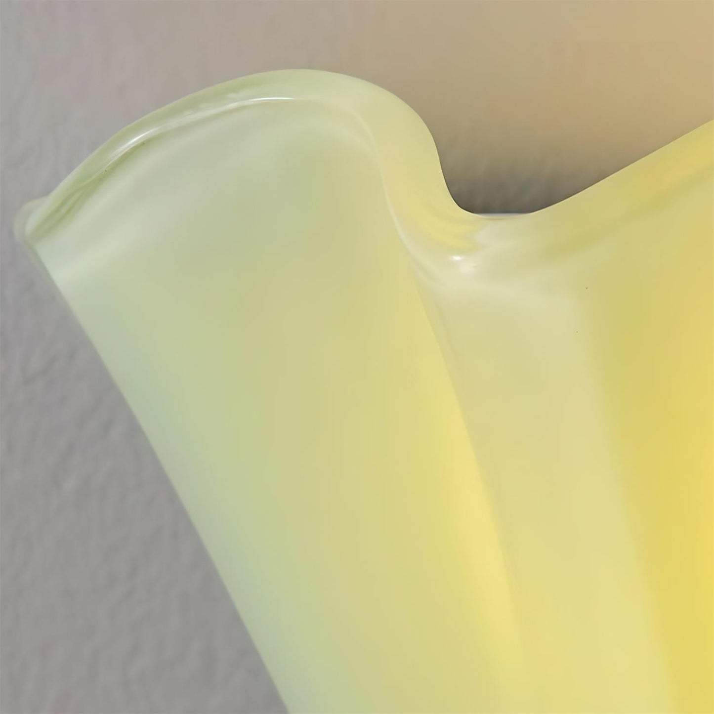 Corala Glass Petal Wall Lamp - Loonglight