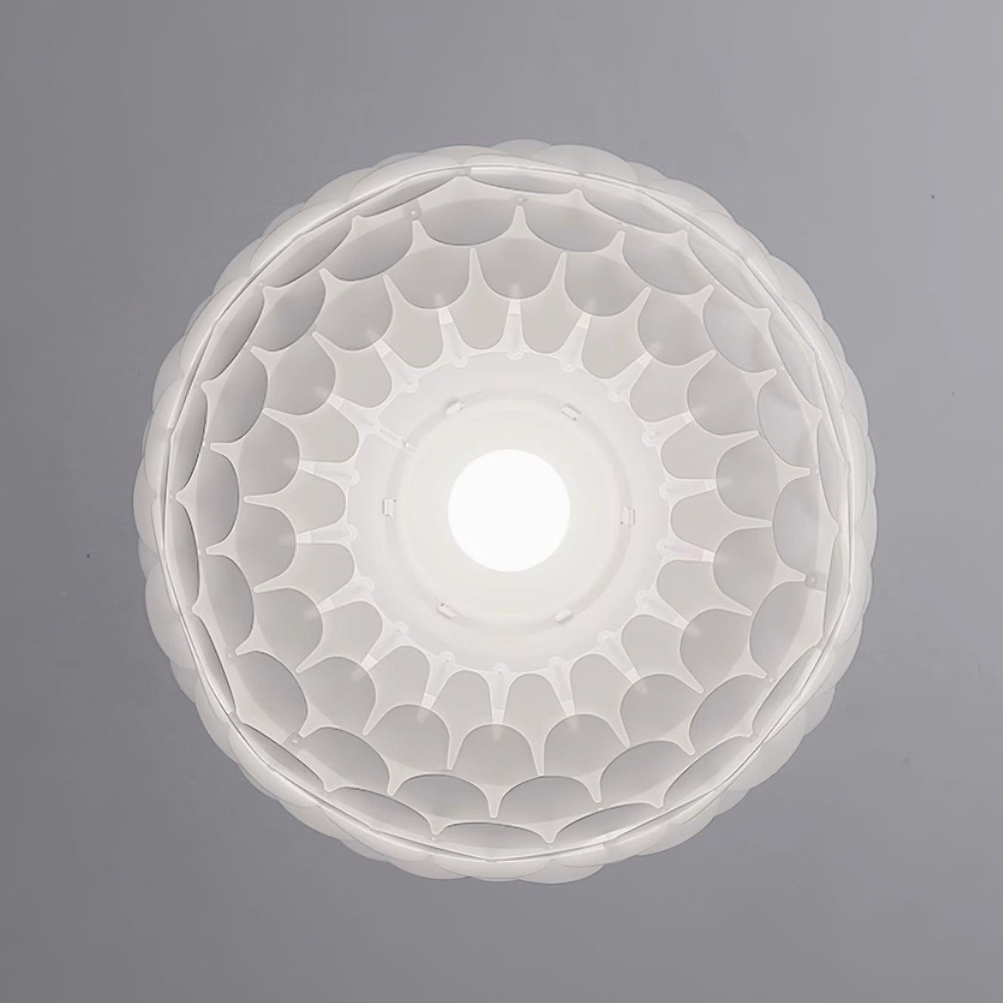 Crown Pendant Light - Loonglight