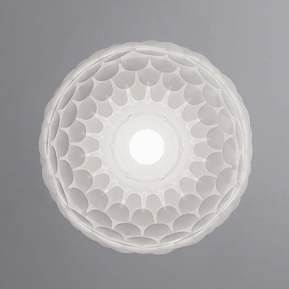 Crown Pendant Light - Loonglight