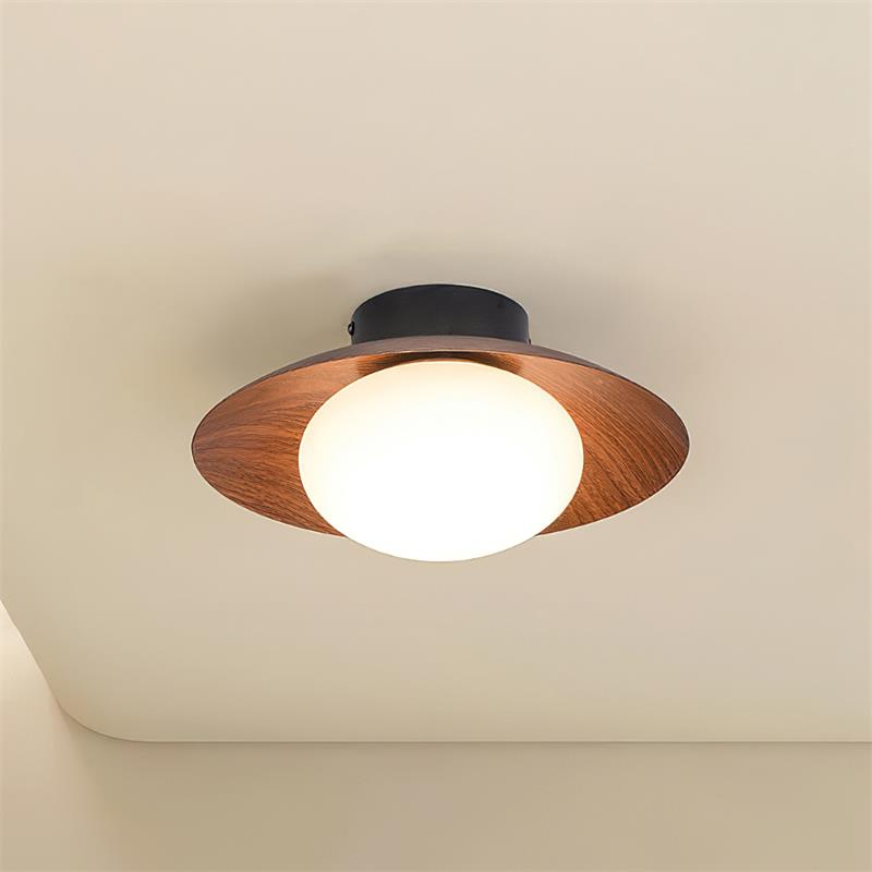 Dawn Ceiling Light - Loonglight