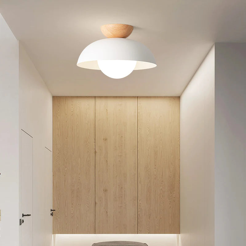 Deku Moderm Ceiling Light