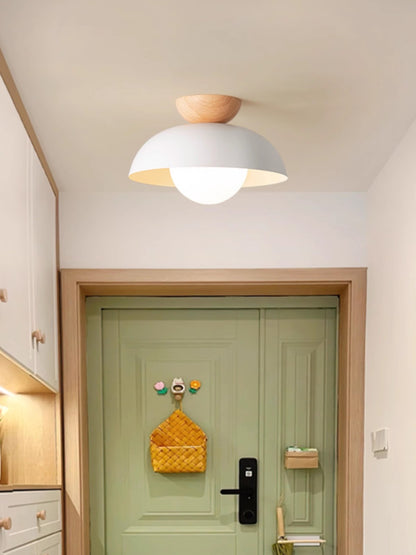 Deku Moderm Ceiling Light