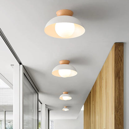 Deku Moderm Ceiling Light