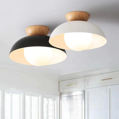 Deku Moderm Ceiling Light