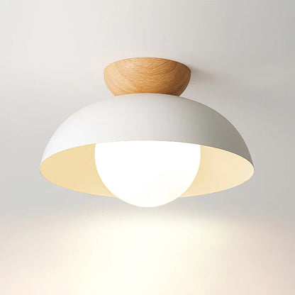 Deku Moderm Ceiling Light