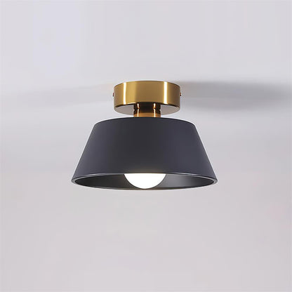 Devon Ceiling Light - Loonglight