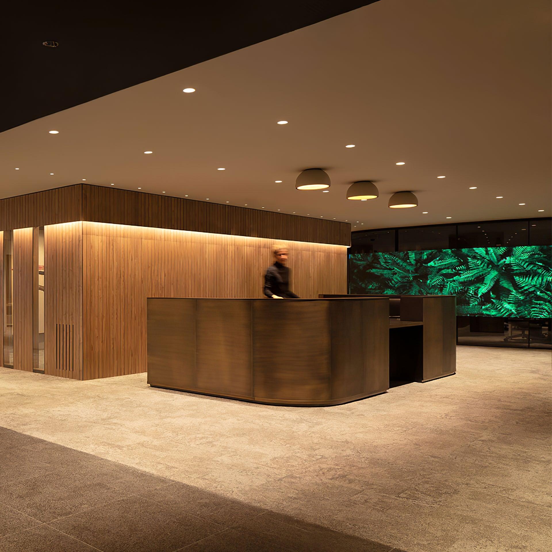 Duo Ceiling Lamp - Loonglight