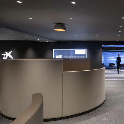 Duo Ceiling Lamp - Loonglight