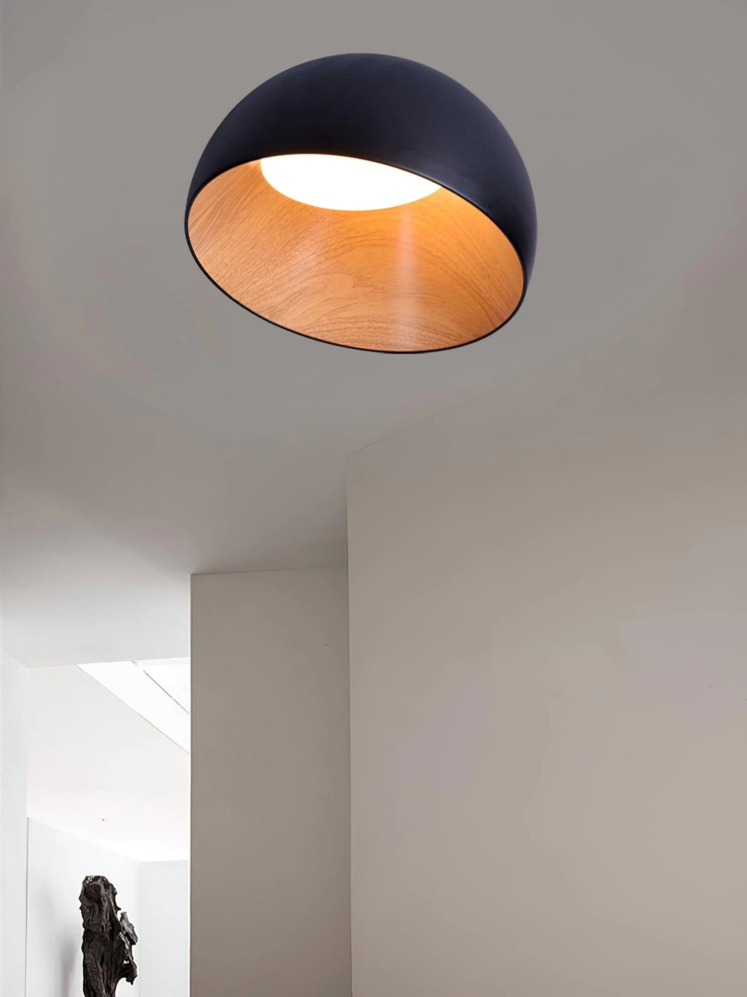 Duo Ceiling Lamp - Loonglight