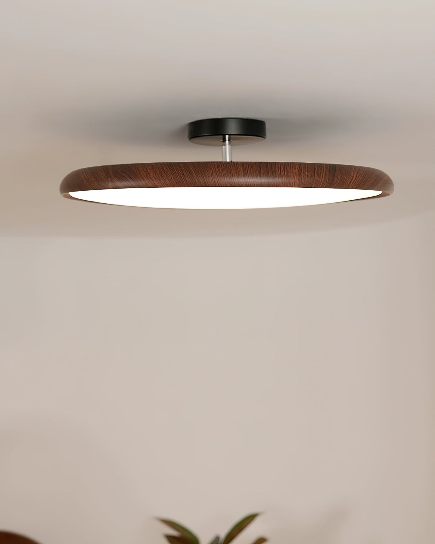 Ellos Ceiling Light - Loonglight