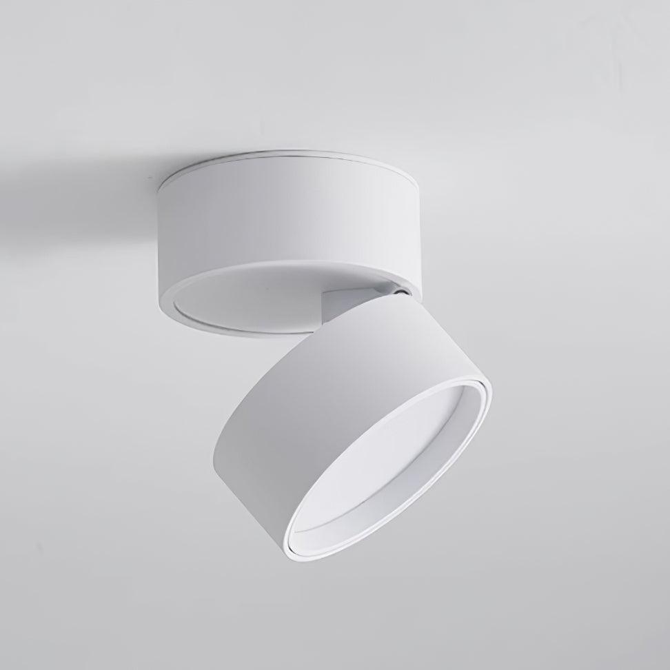 Favilla Surface Spotlight - Loonglight