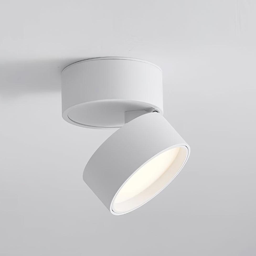 Favilla Surface Spotlight - Loonglight