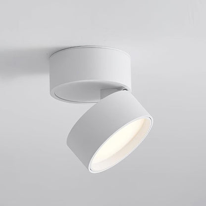 Favilla Surface Spotlight - Loonglight