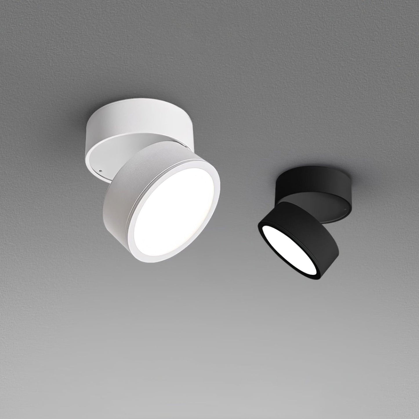 Favilla Surface Spotlight - Loonglight