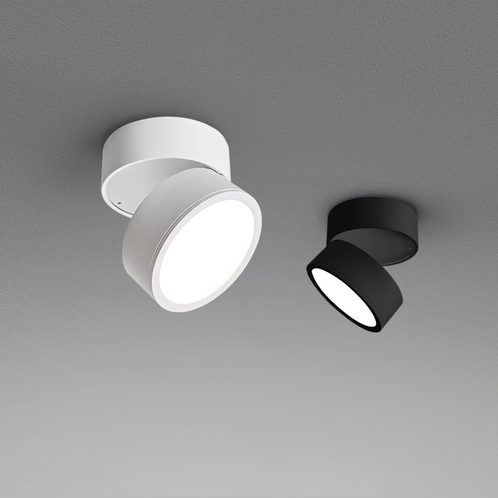 Favilla Surface Spotlight - Loonglight