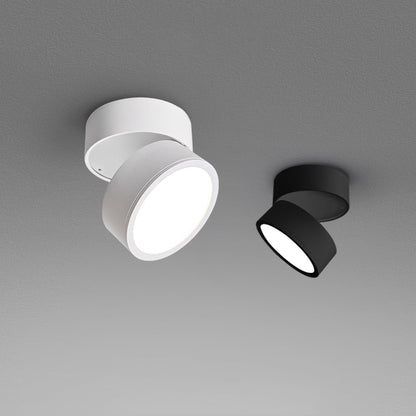 Favilla Surface Spotlight - Loonglight