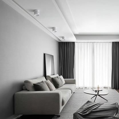 Favilla Surface Spotlight - Loonglight