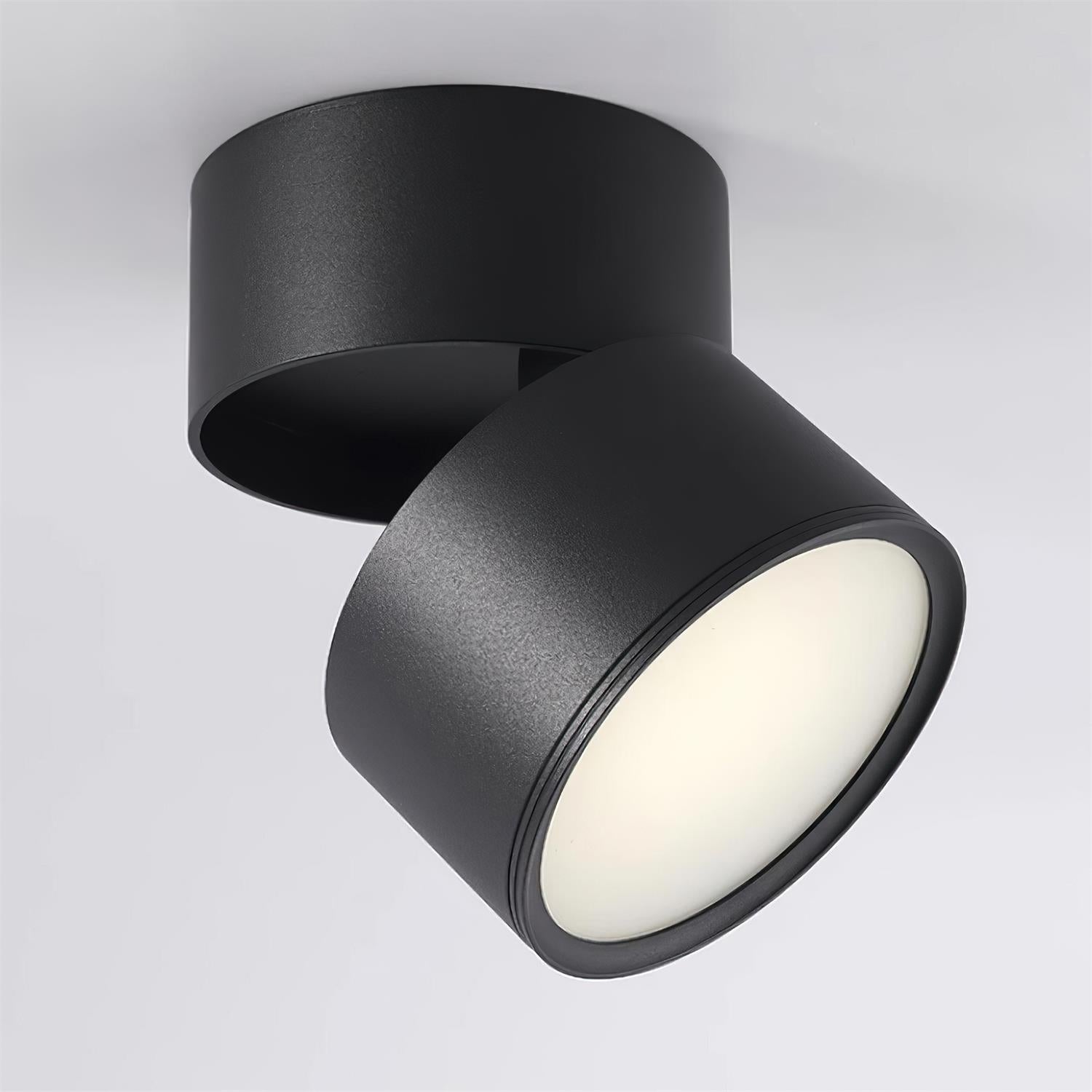 Favilla Surface Spotlight - Loonglight