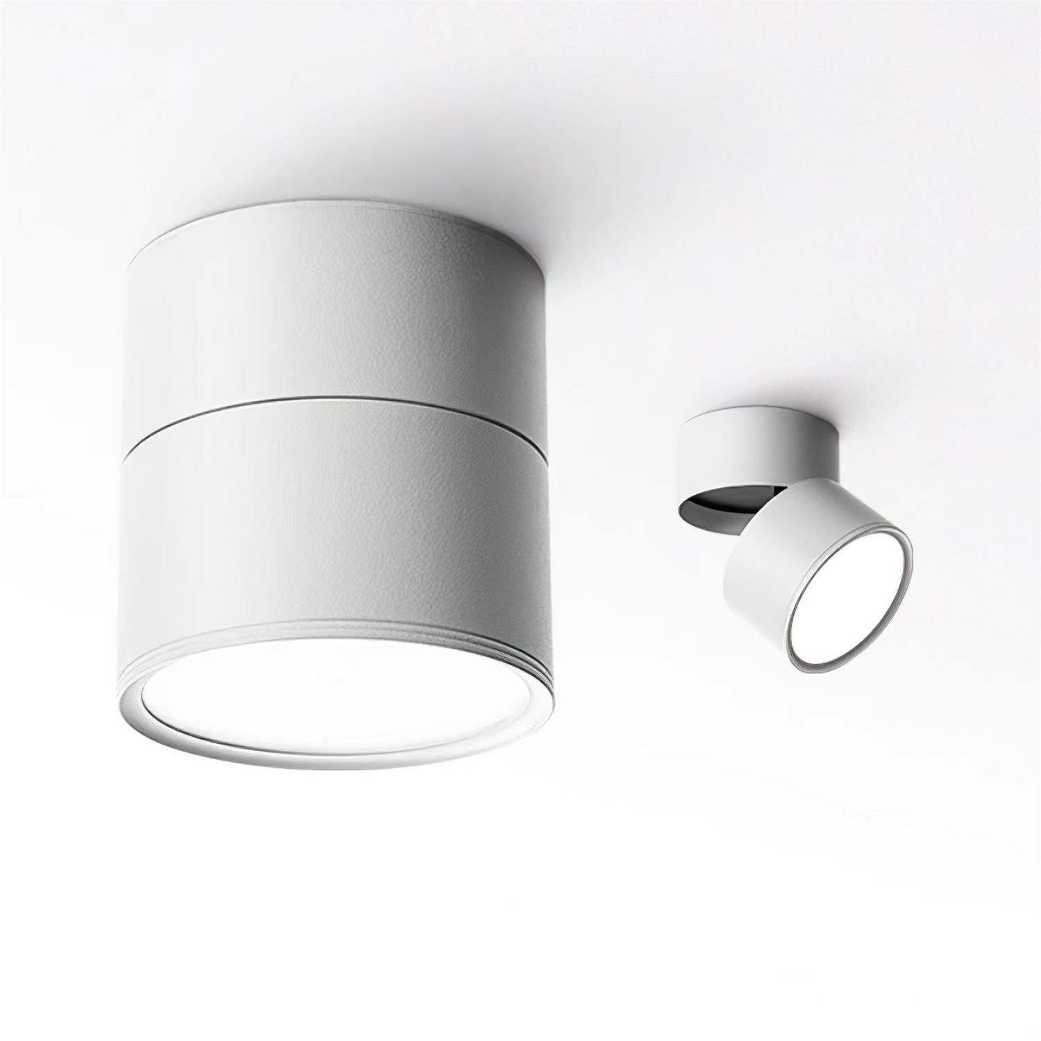 Favilla Surface Spotlight - Loonglight