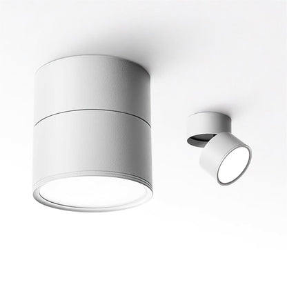 Favilla Surface Spotlight - Loonglight