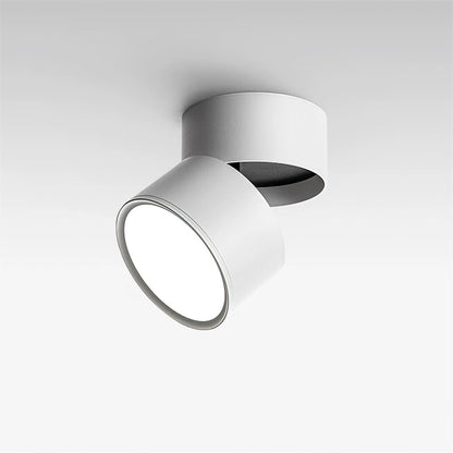 Favilla Surface Spotlight - Loonglight