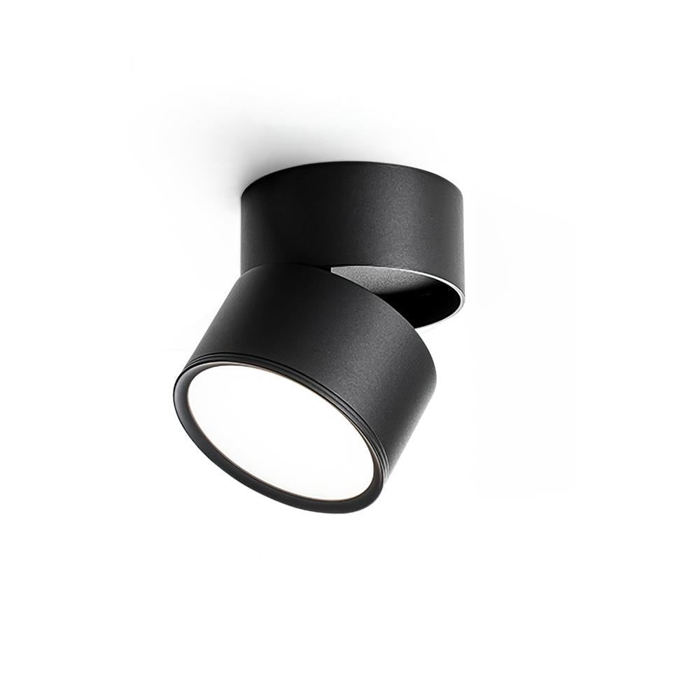 Favilla Surface Spotlight - Loonglight