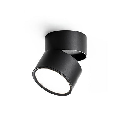 Favilla Surface Spotlight - Loonglight