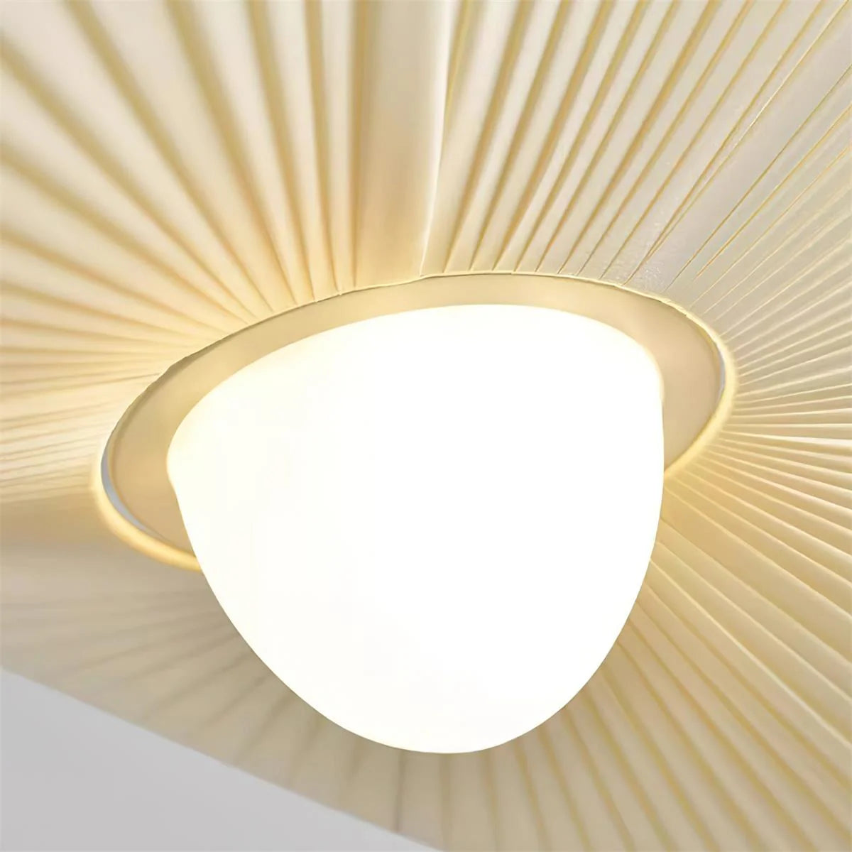 Florina Ceiling Light - Loonglight