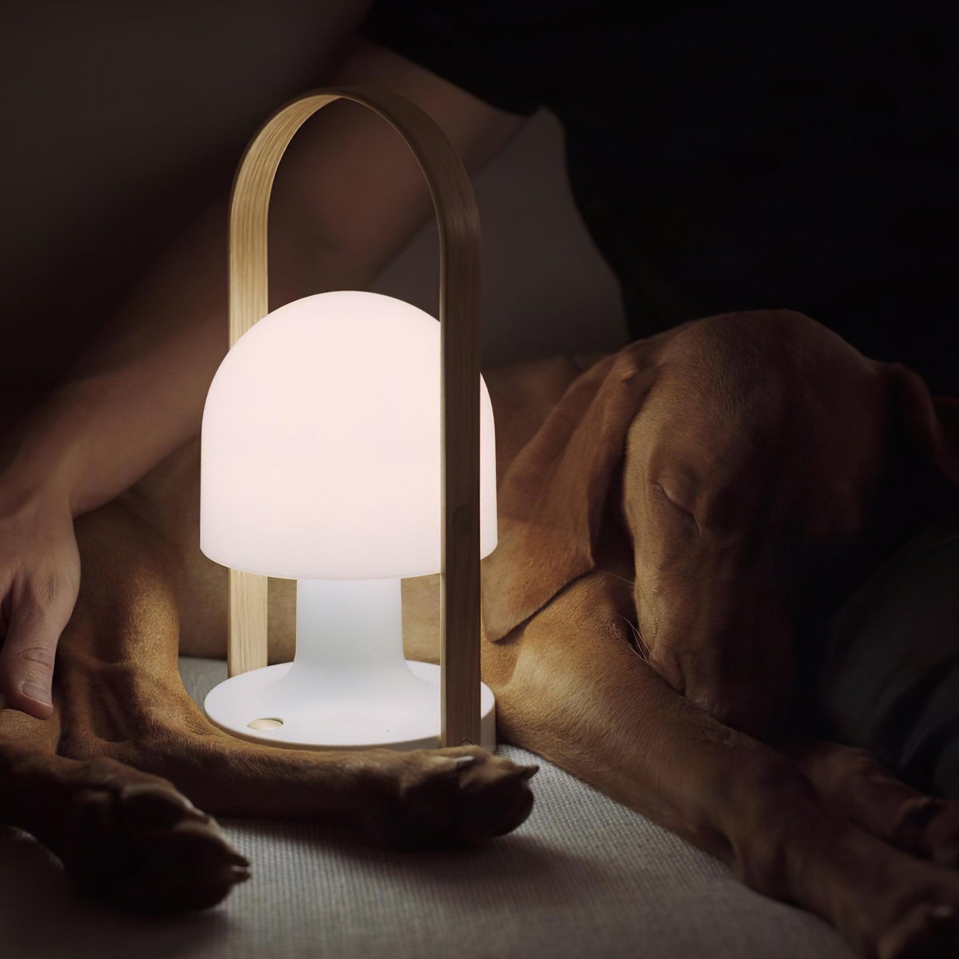 FollowMe Portable Table Lamp (built-in battery) - Loonglight