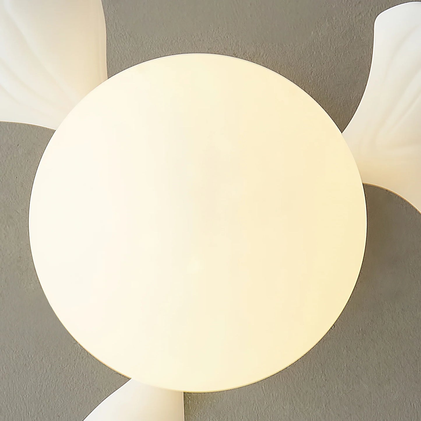 Ginkgo Rosalia Ceiling Light - Loonglight