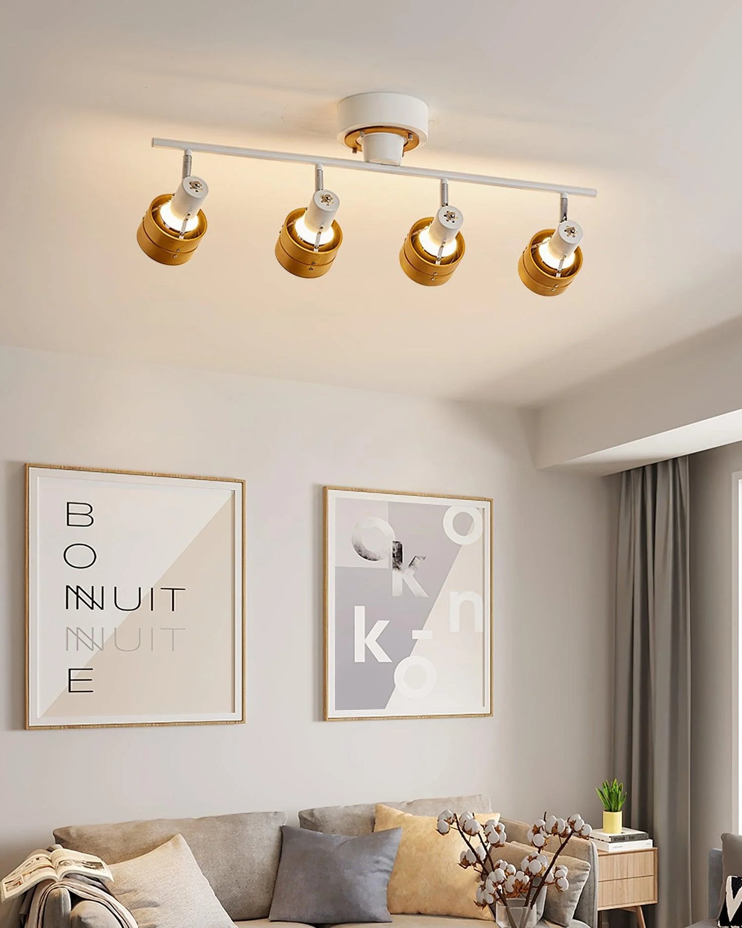 Hewes Track Lighting - Loonglight