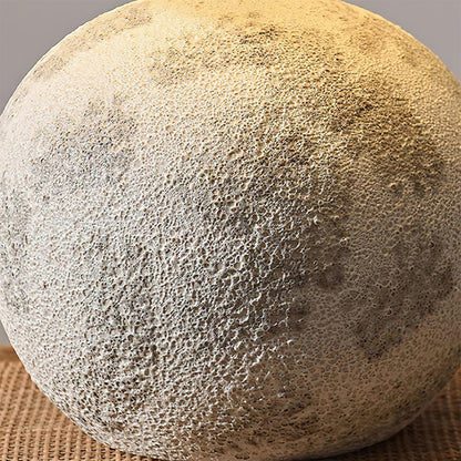 Kaliyu Ceramics Table Lamp - Loonglight