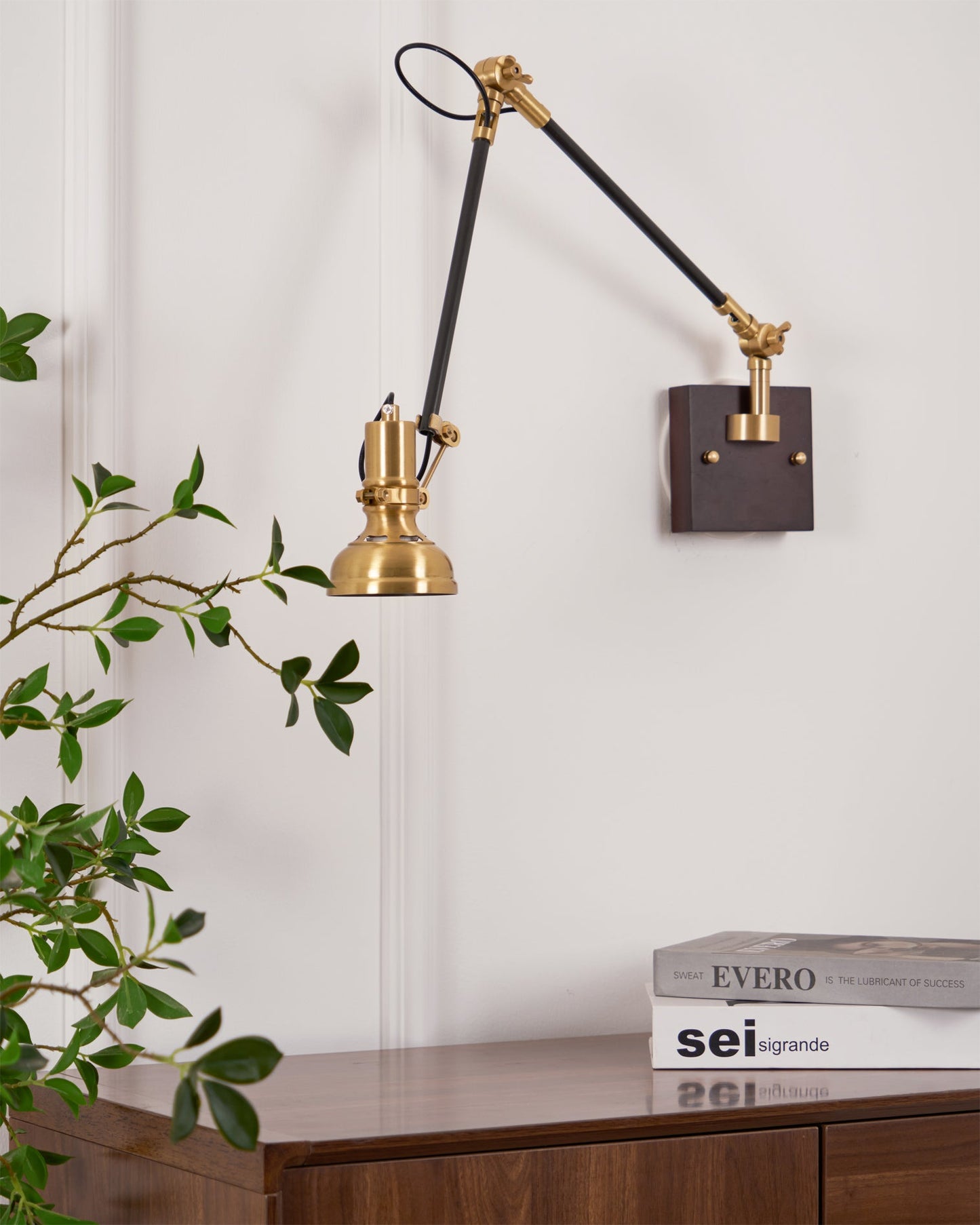 Kane Swing Arm Wall Lamp - Loonglight