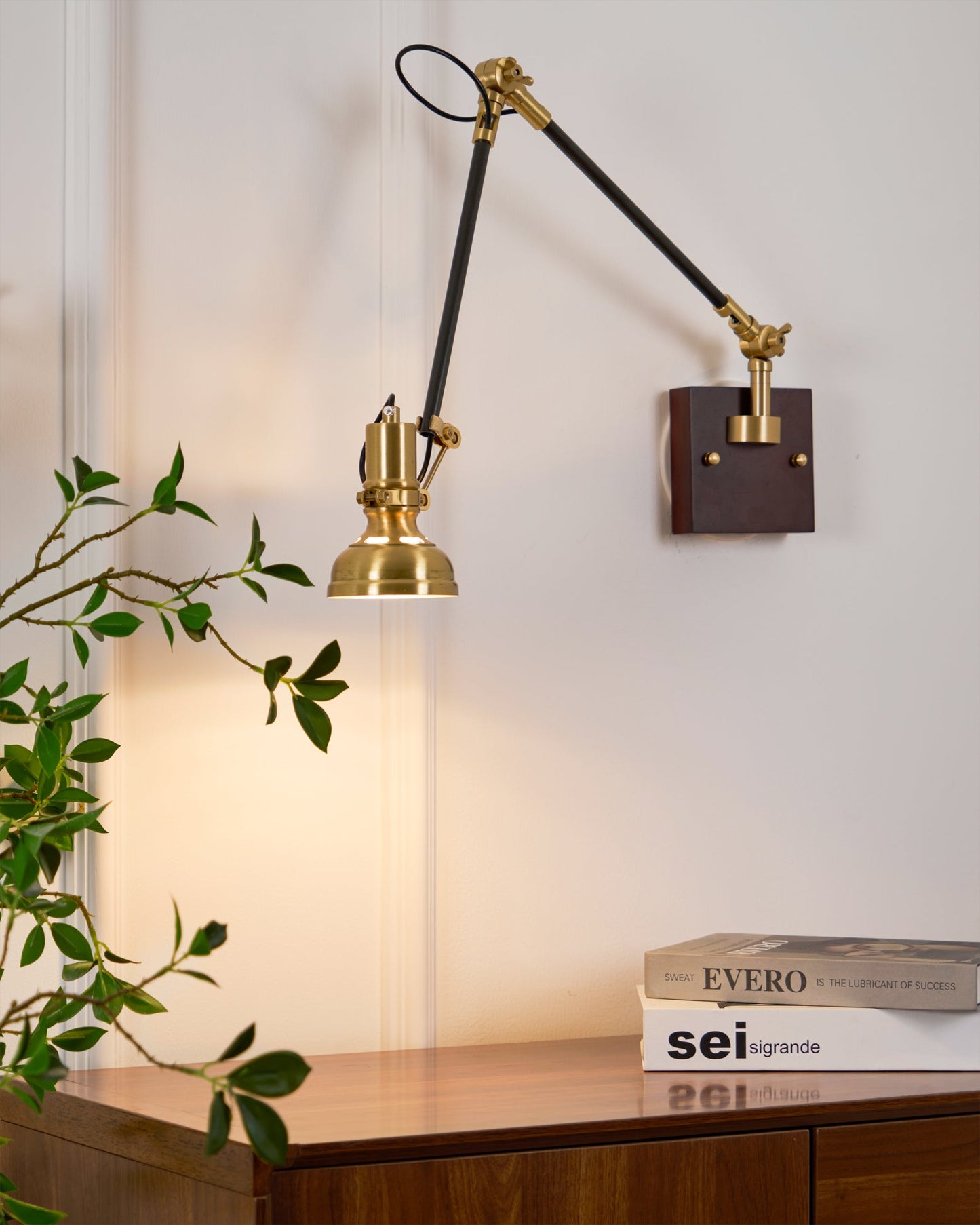 Kane Swing Arm Wall Lamp - Loonglight