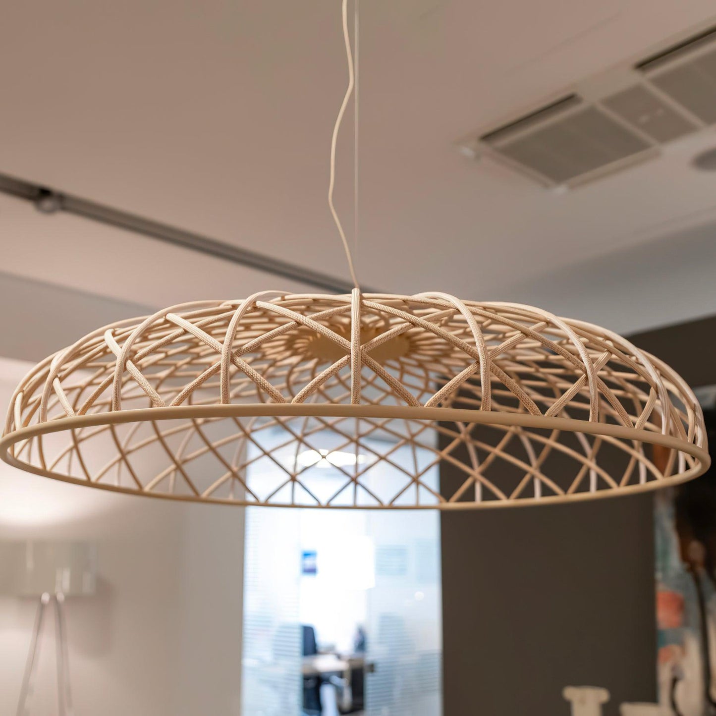 Reticulated Metal Pendant Light - Loonglight