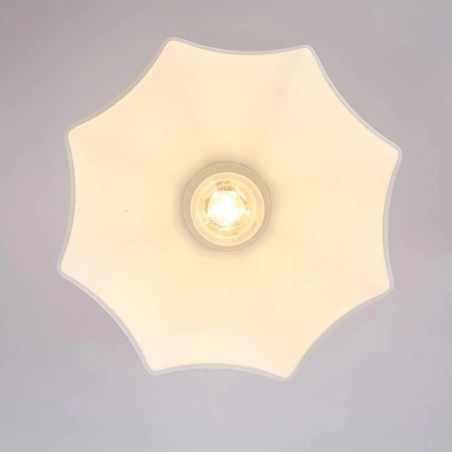 Livex Ceiling Light - Loonglight