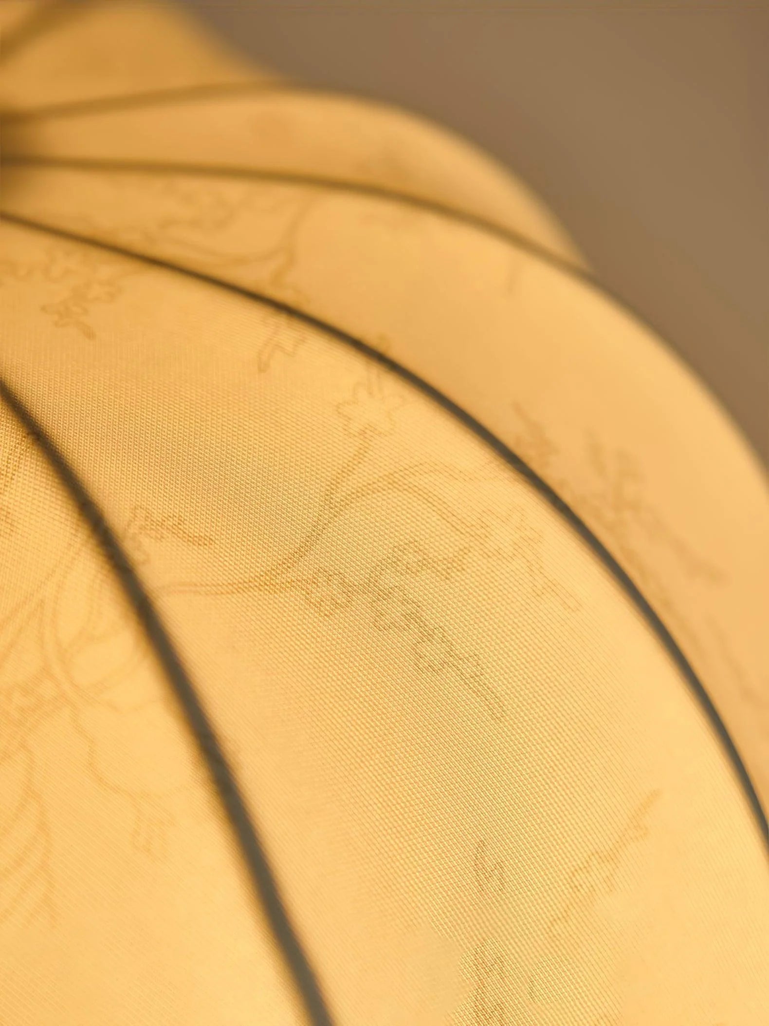 Luxo Ceiling Light - Loonglight