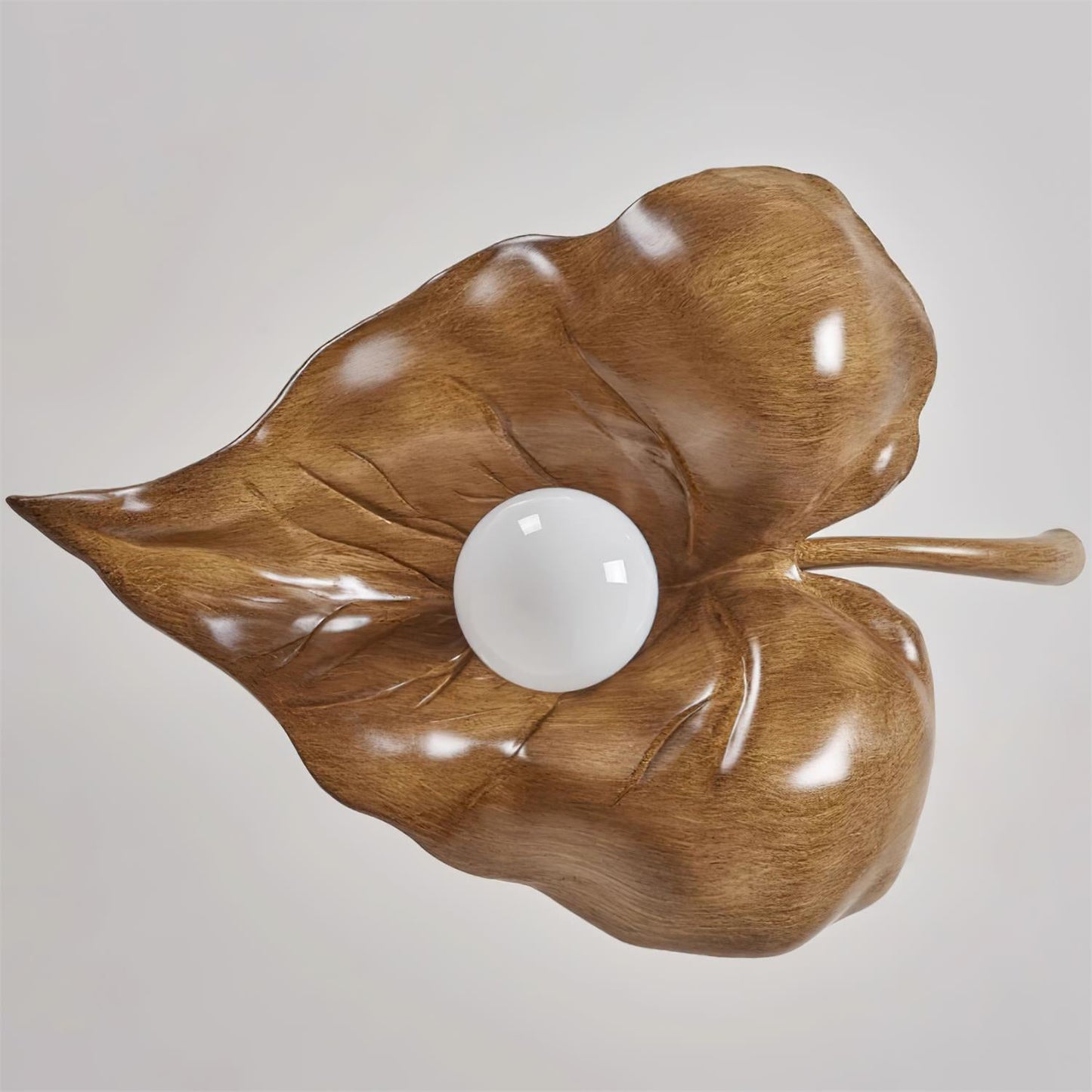 Hanglamp met gedroogde bladeren