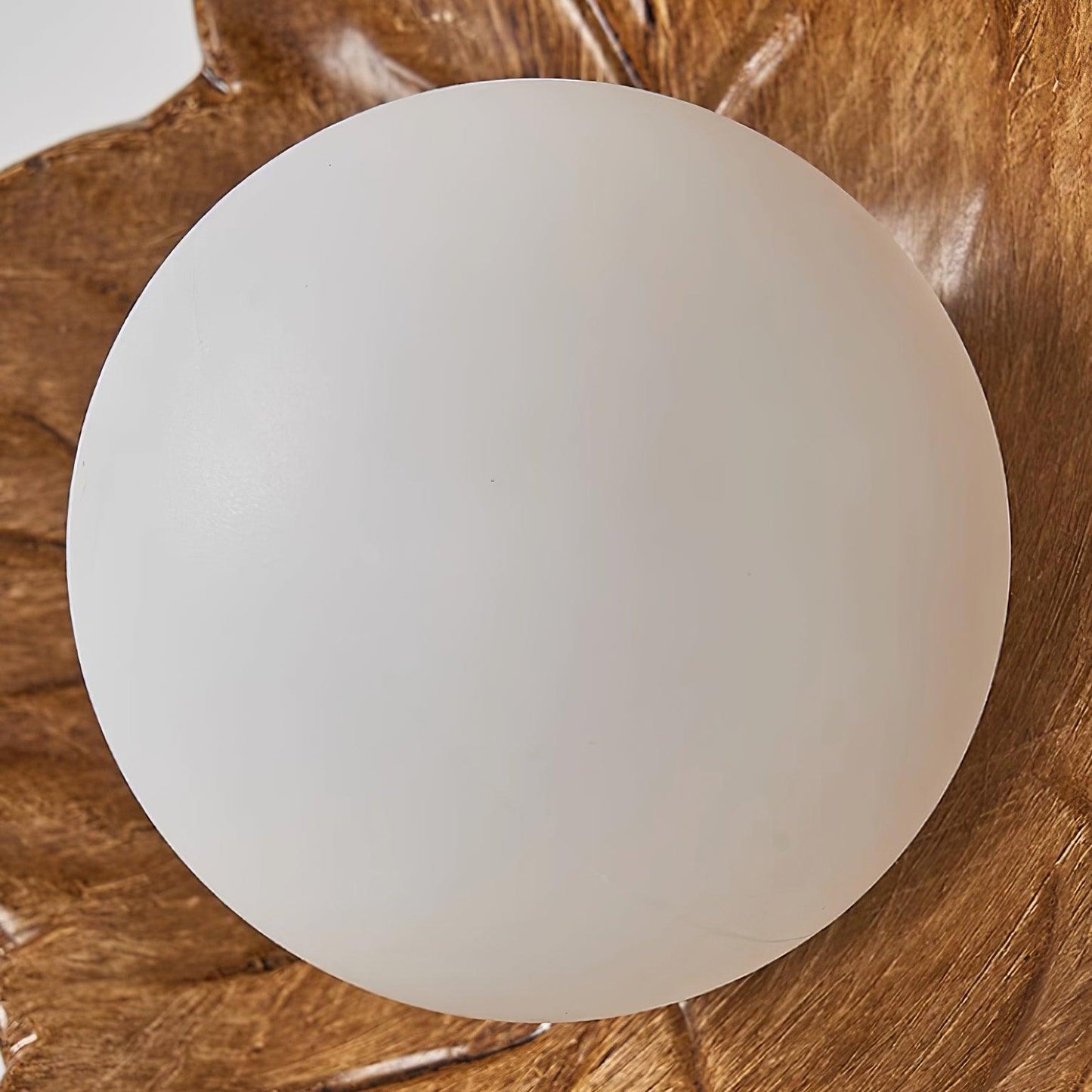 Maple Leaf Wall Light - Loonglight