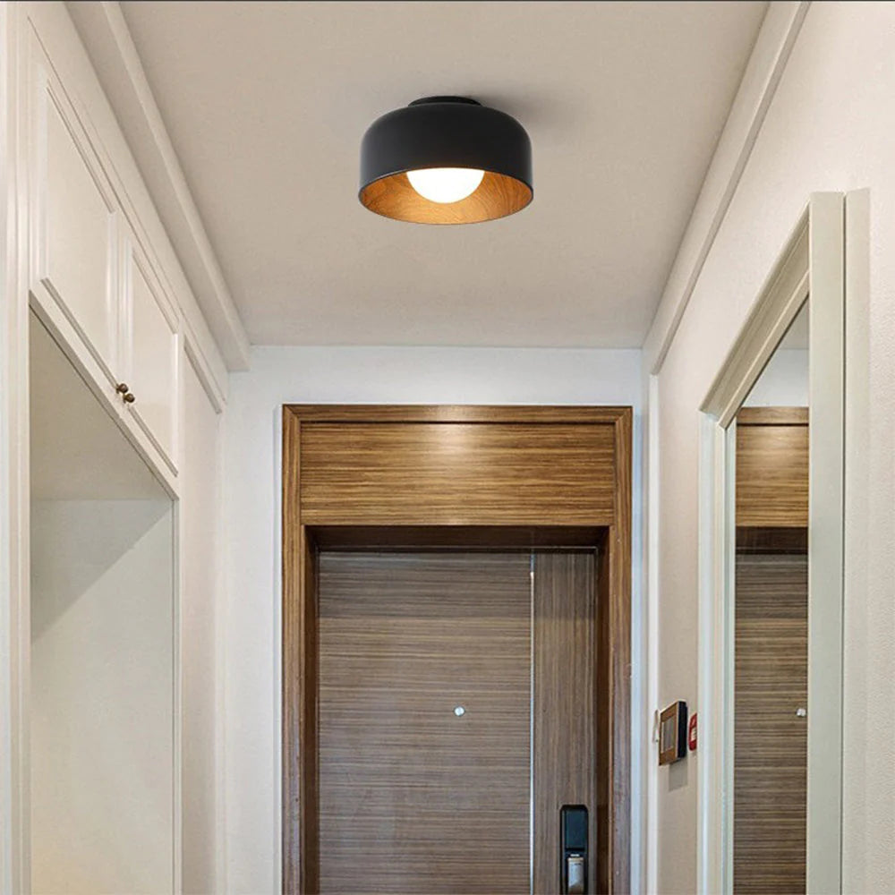 Modern Ceiling Light